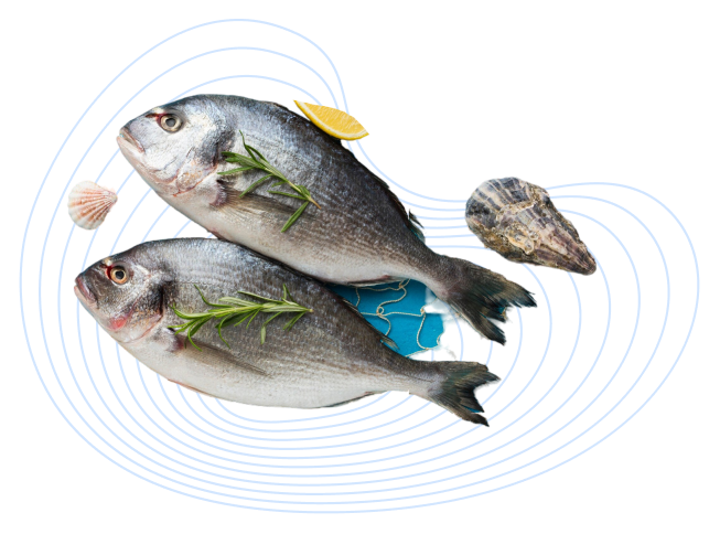 Pescado fresco